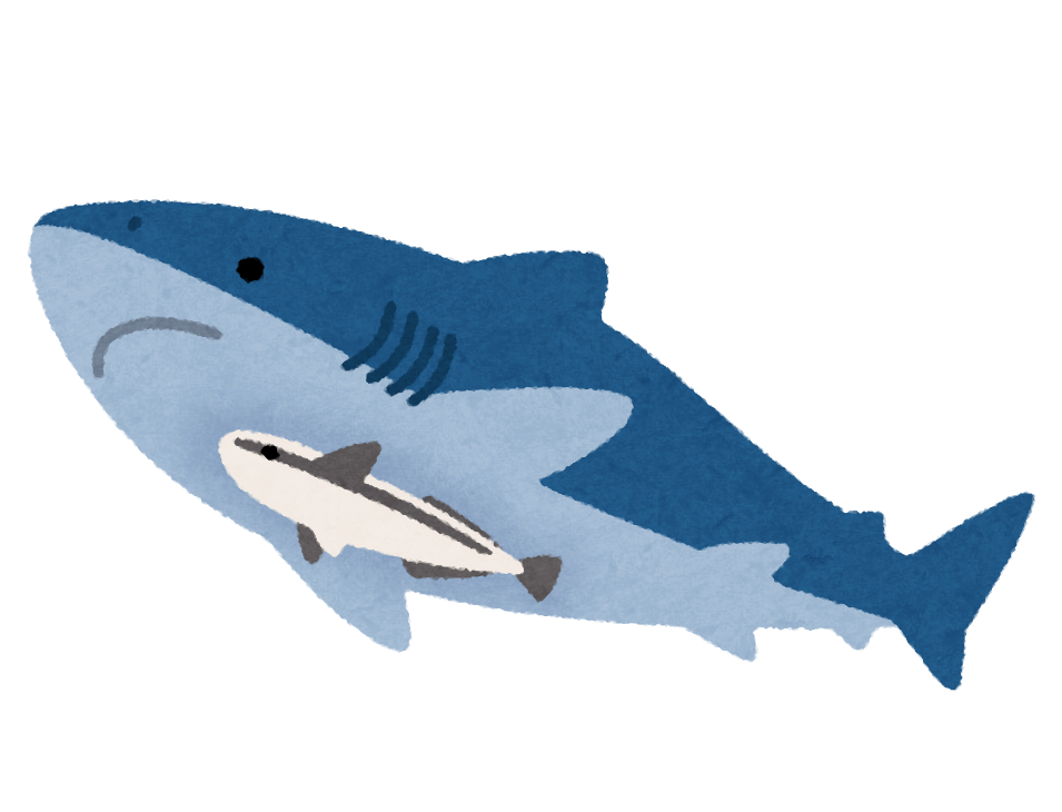 最も好ましい 素材 サメ イラスト フリー ただの動物の画像
