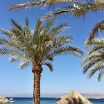 Seaside Sunbathing in Aqaba