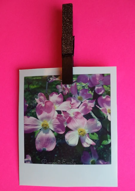 DIY Clothes Pin Magnet