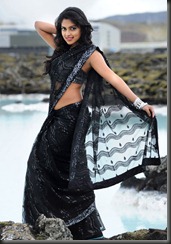 amala paul hot in naayak movie
