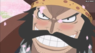 ワンピースアニメ 頂上戦争編 485話 ロジャー 白ひげ 桜 | ONE PIECE Episode 485