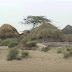 Amazing Life in Thar Desert Pakistan