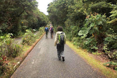 Parque Nacional Volcan Poas en Costa Rica