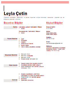 Öğrenci cv örnekleri word