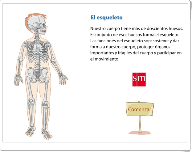 "El esqueleto" (Presentación de Ciencias Naturales de Primaria)