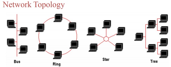 types of network topology