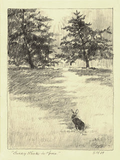 rabbit sketch by Lori Levin