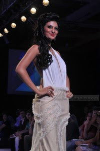 HQ-Sayali Bhagat Backless Models on Ramp at IIJW 2010