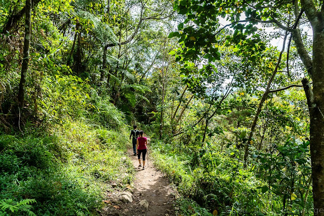 Batad-Ifugao-Luçon-Philippines