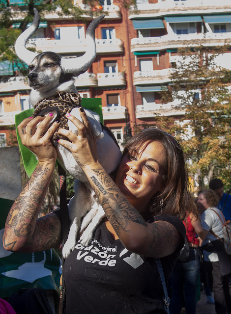 Antitaurina Zaragoza 2017 anti bullfight fiestas del Pilar 2017