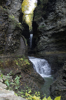 Canyon, Watkins Glen, New York 