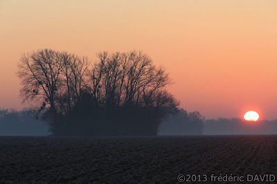 froid silhouette aube arbres soleil Seine-et-Marne