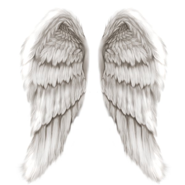 angel wings