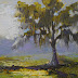 Tree painting, Daily Painting, Small Oil Painting, 6x8" Oil Landscape
SOLD