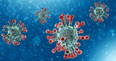 Tambah Serem!!! Virus Corona Varian Baru B.117, B.1351, B.1617 Sudah Ada di Indonesia