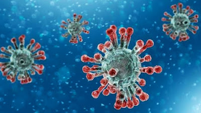 Tambah Serem!!! Virus Corona Varian Baru B.117, B.1351, B.1617 Sudah Ada di Indonesia
