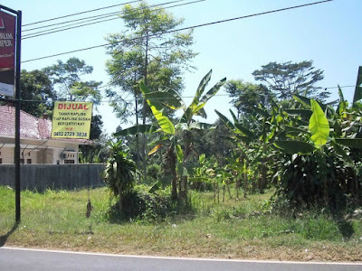 Tanah dan Rumah dijual di Batang dan Sekitarnya