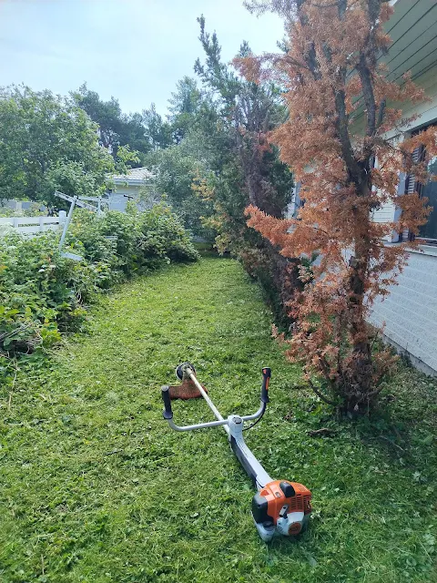 #Tampereen #pihatyöt #puutarhatyöt #Stihl #raivaussahoilla #lankaleikkureilla #heinikot #ruohikot nurin talonmiespalvelu@gmail.com 10.7.2025 kuva4