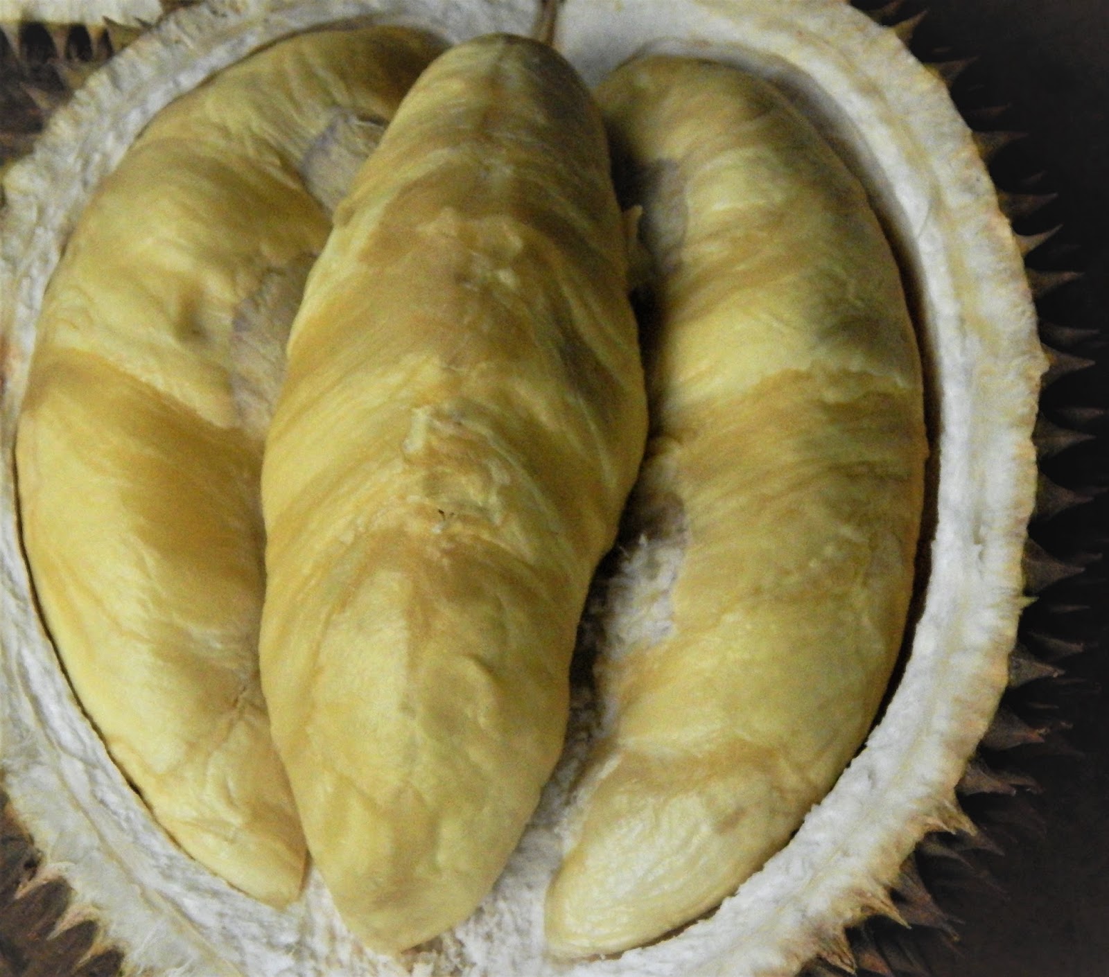 Gambar Kata Lucu Durian Terbaru Dp Bbm Lucu Untuk Hari Ini