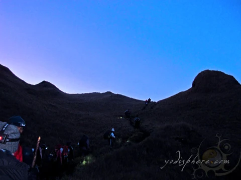 Summiteers trekking the final trail going up the summit of Mt. Pulag