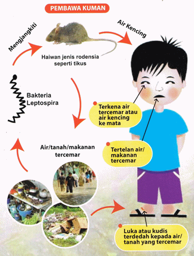 Ubat Sembelit Untuk Anak Kucing - Lowongan Kerja Ubat Sembelit Untuk Anak Kucing - Lowongan Kerja