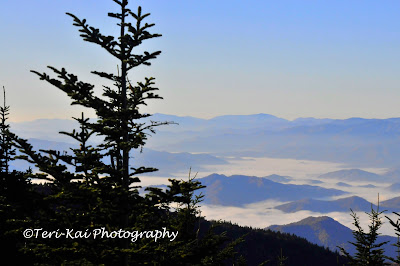 Clingman’s Dome is in the Great Smoky Mountains, TN