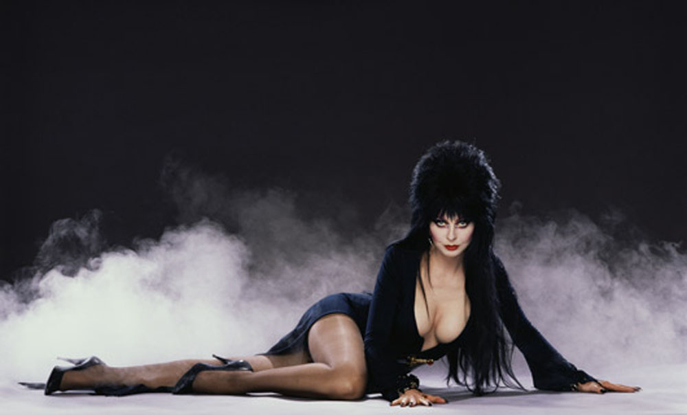  Elvira Mistress of the Dark She was extremely buxom and very comical 