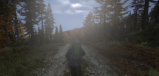 DayZ Hints, Tips & Tricks