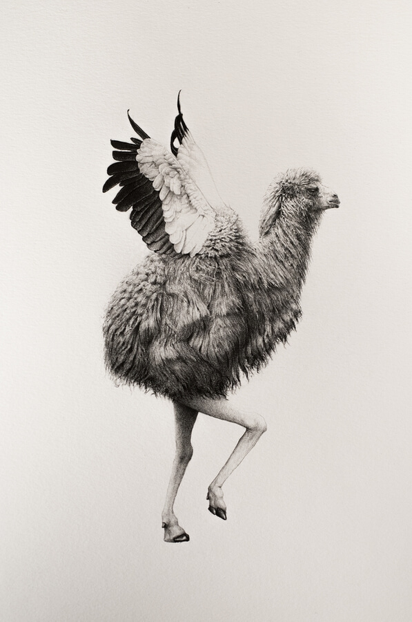 10-Camel-ostrich-mashup-Surreal-Animal-Drawing-Mateo-Pizarro-www-designstack-co
