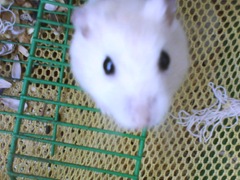DSC03010