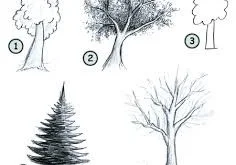 تحميل اختبار رسم الشجرة pdf
