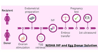 Nisha IVF egg donor solution