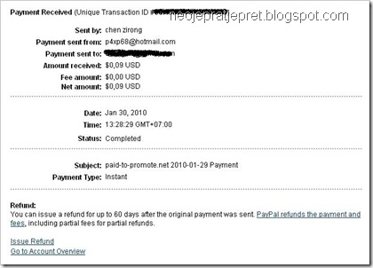 paid to promote payment 1