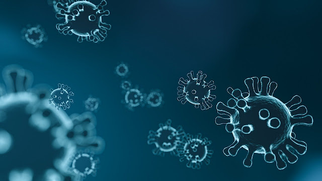 Difference with Endemic and Pandemic