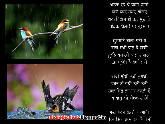 Birds in Rain Poems For Kids in Hindi | Monsoon Poems in Hindi | Share Pics Hub