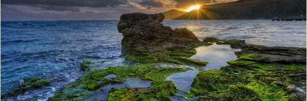 Seashore of Lord Howe Island, Australia