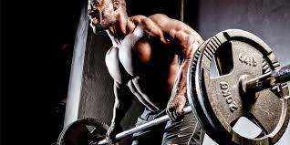 workout for muscle mass