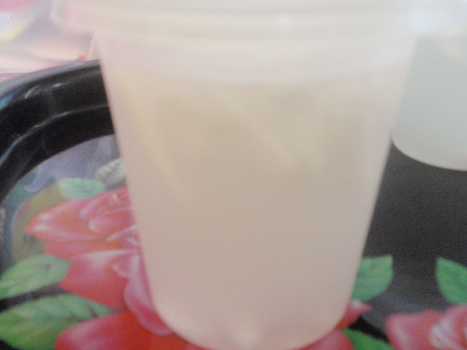 Senandung Budi: RESEPI JELLY KELAPA
