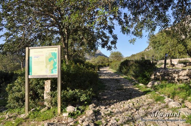 El Cintillo - Cerro de Los Batanes - Ubrique - Calzada Romana