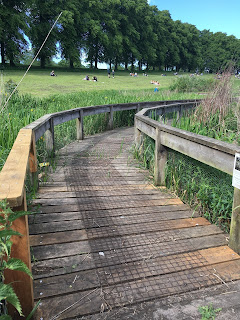 A wooden walkway.