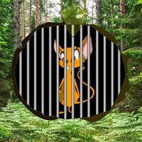 WOW Escape Poison Forest Fox Escape