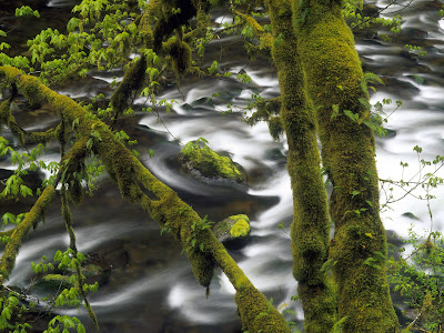 Nueva serie de paisajes naturales (10 imágenes)