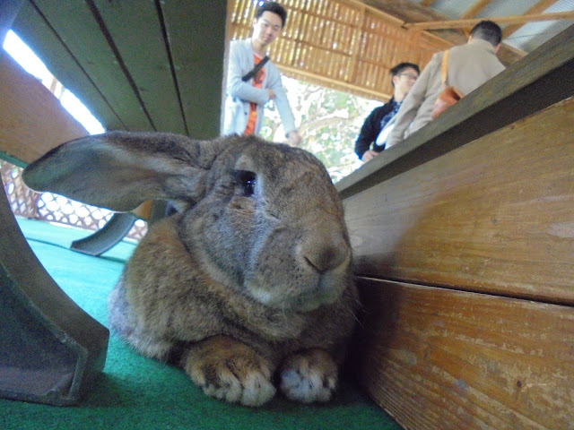 大山トム・ソーヤ牧場