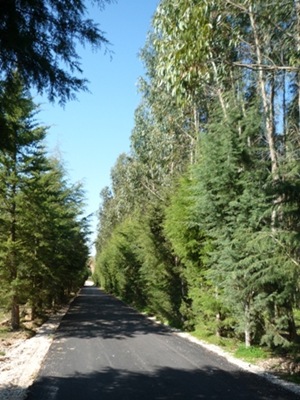 P1000372