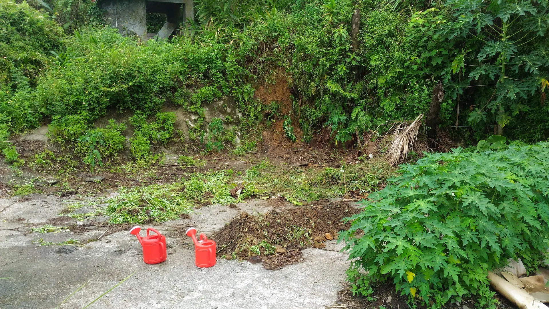 相片：