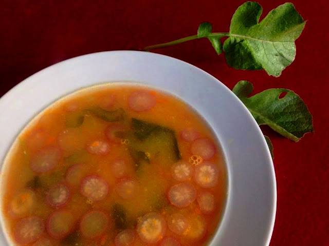 Sopa de Rabanetes