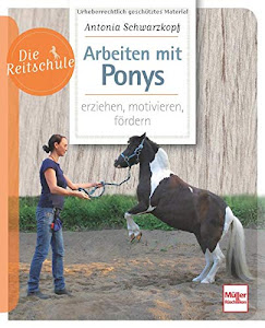 Arbeiten mit Ponys: erziehen, motivieren, fördern (Die Reitschule)