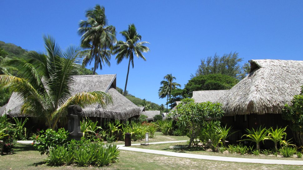 Jardin luxuriant du Sofitel Moorea Ia Ora Beach Resort