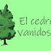 cuento para niños El cedro vanidoso