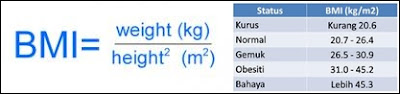 bmi index